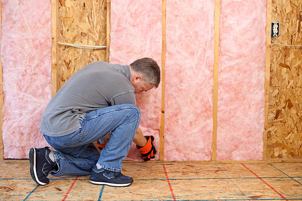 Professional Insulation in Forsyth, IL